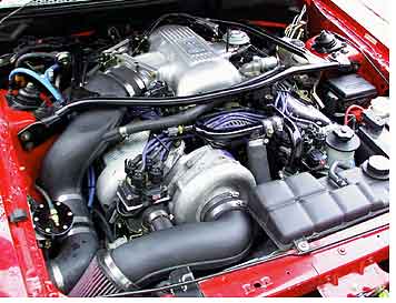 Procharger Supercharger for your 1996-2001 Mustang Cobra H.O. Intercooled System with P-1SC